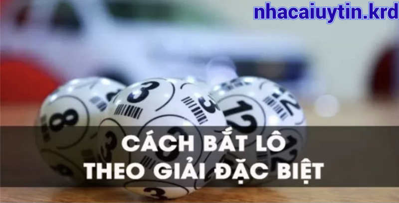 Kinh nghiệm soi cầu theo giải đặc biệt hiệu quả