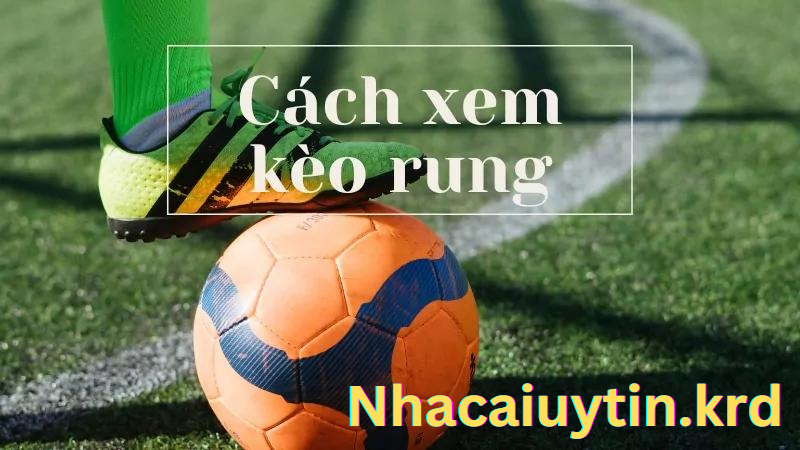 Kinh nghiệm chơi kèo rung hiệu quả