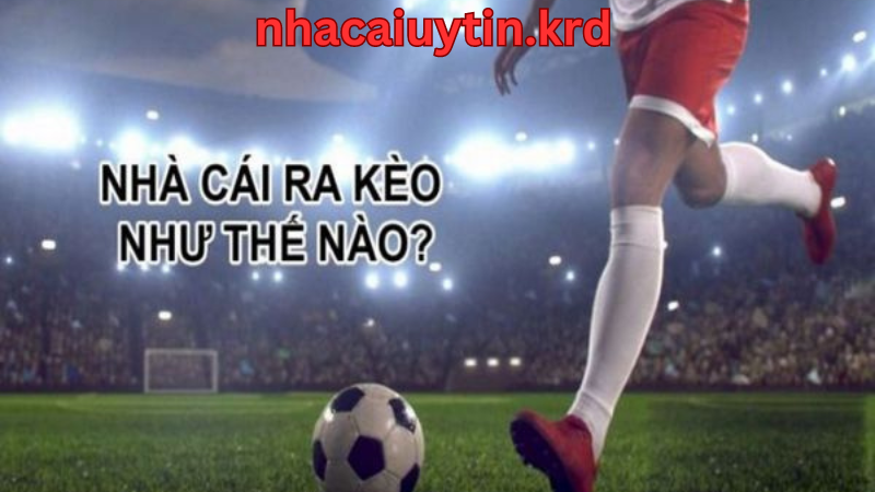 Nhà cái ra kèo như thế nào?