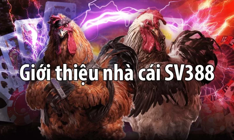 Tổng quan về nhà cái SV388