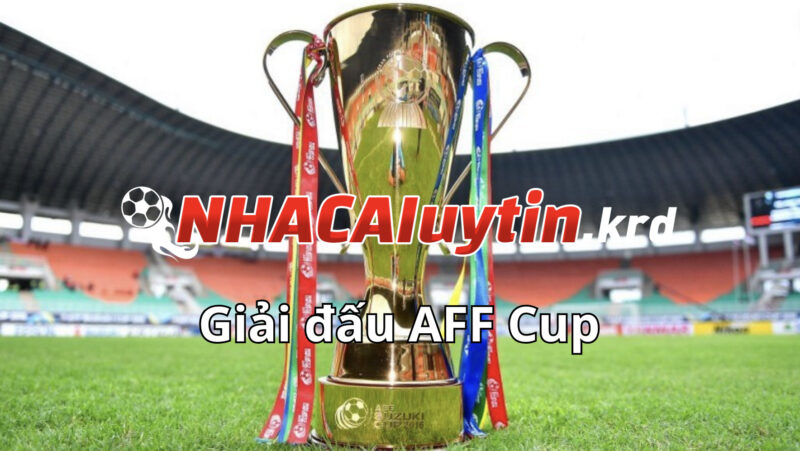 AFF cup là gì? Là fan bóng đá Việt Nam cần phải biết đến
