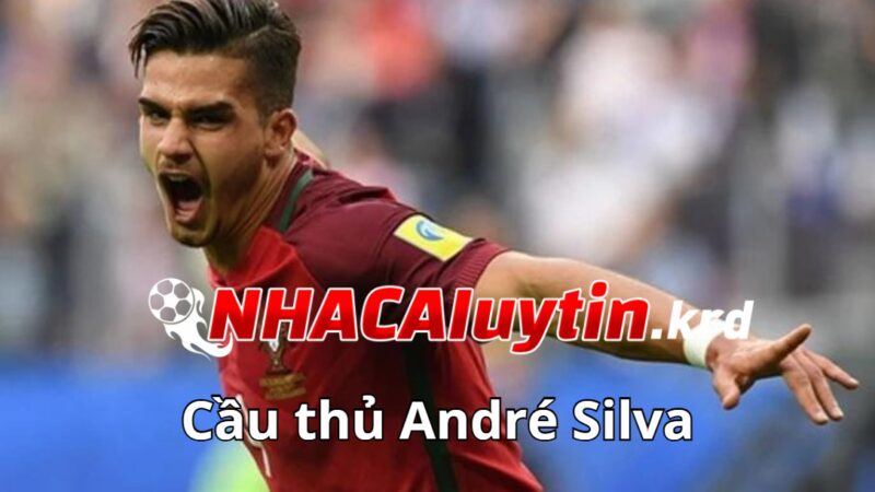 Thông tin về cầu thủ André Silva