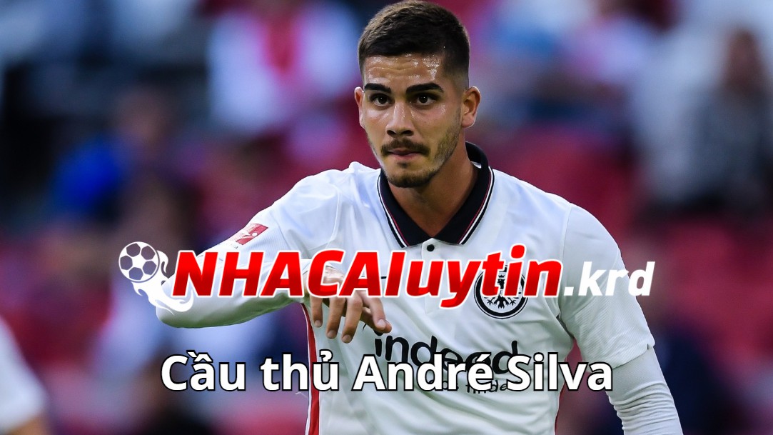 Điều bạn chưa biết về André Silva